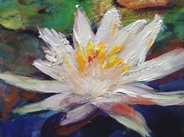 Monet Waterlily Close-up (PP-2)