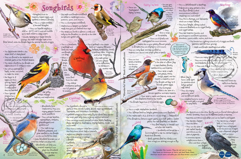 Birds, Bugs eBook 3 - Pages 2 & 3 ©