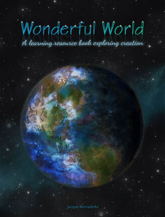 Wonderful World Book